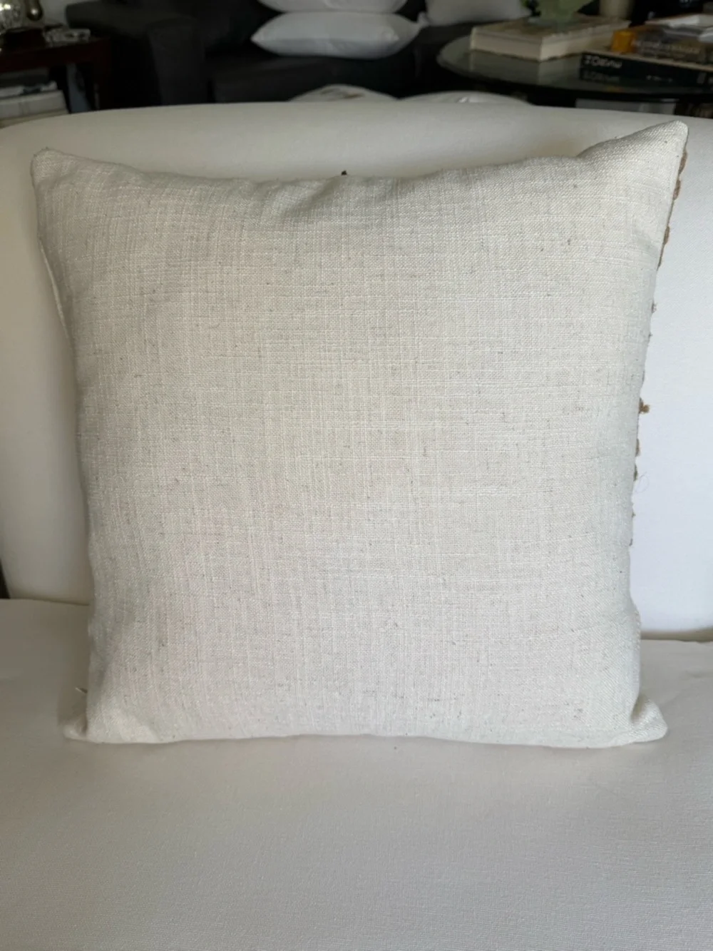 New! BARCLAY BUTERA Eastern Accents Cabo Textured Silk Decorative Pillow 20x20